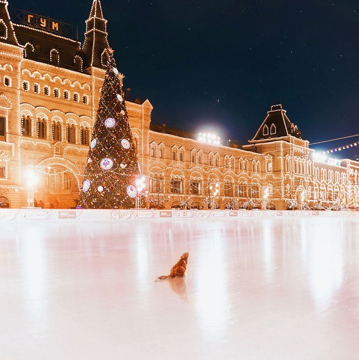 Iarna in Moscova 7 5