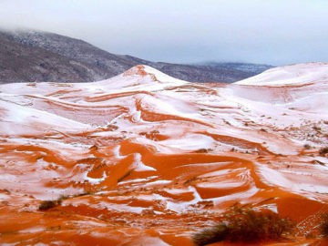 rare snow sahara desert1