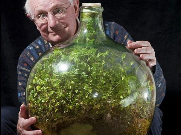 Un batranel de 80 ani si mica lui gradina din sticla care nu a fost udata din 1972. Plantele sunt verzi!
