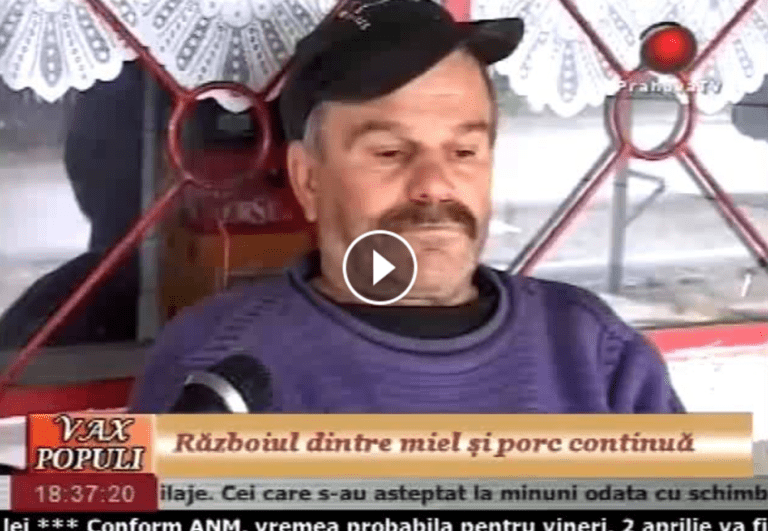 diferenta paste craciun