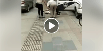 Screen Shot 2017 11 13 at 12.33.12 PM