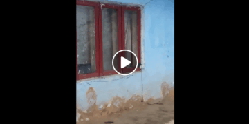 Screen Shot 2018 02 19 at 8.15.13 PM
