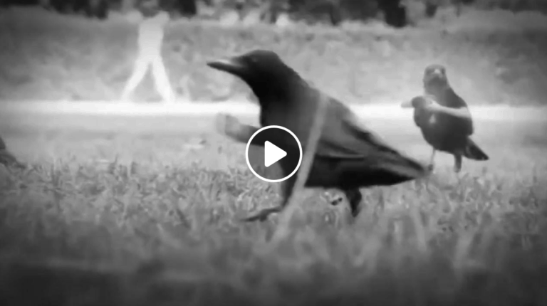 Screen Shot 2018 02 26 at 6.36.25 PM