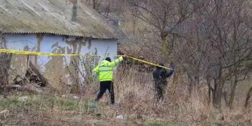 fata 13 ani principal suspect dubla crima poiana botosani 759679
