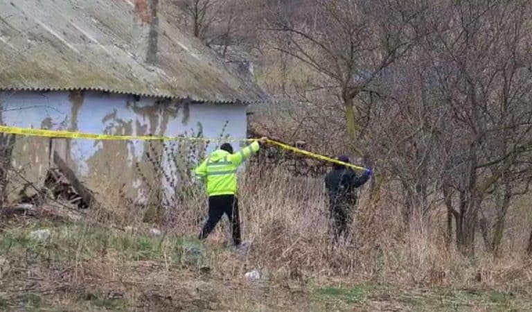 O fată de 13 ani, principalul suspect al crimei din Botoșani. Declarații șocante