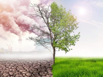 schimbari climatice efecte solutii
