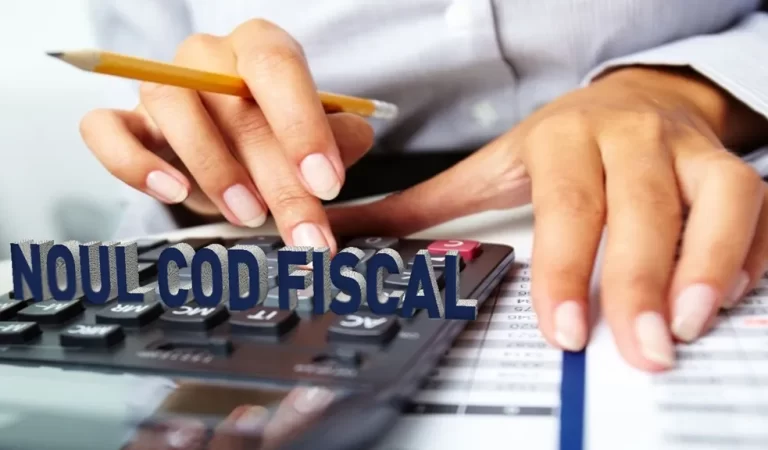 Guvernul a adoptat modificările la Codul Fiscal. Ce taxe și impozite plătim de la 1 august